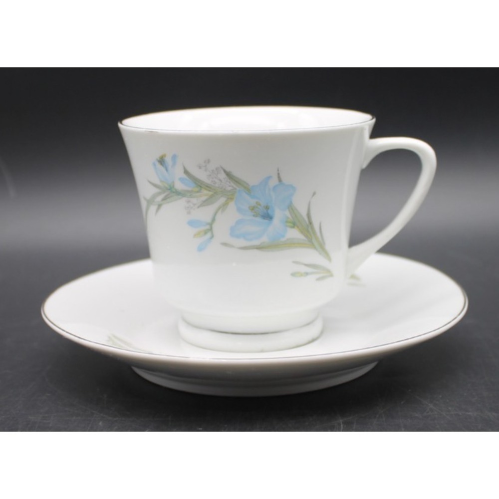 Vintage Porcelain Demitasse Cup Saucer Blue Floral China Tea Espresso Set